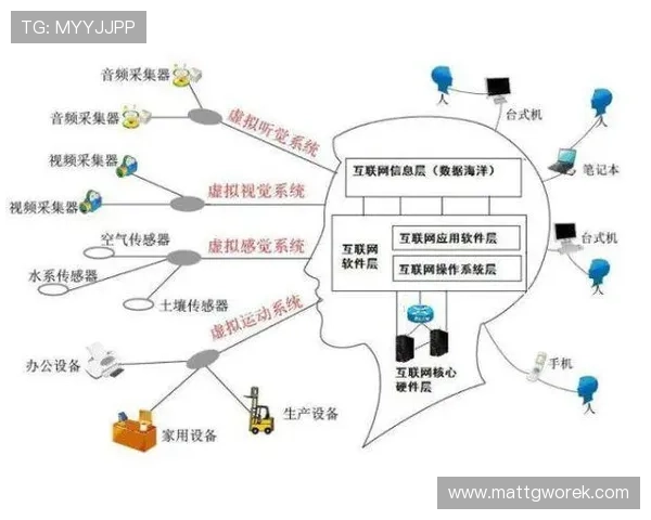 星空平台app背后的技术支持，保障用户体验的创新之路