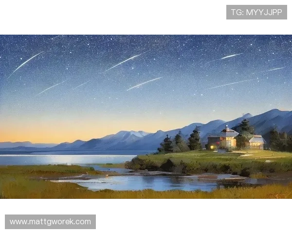 星空网站的魅力:探索无垠夜空下的神秘与美丽